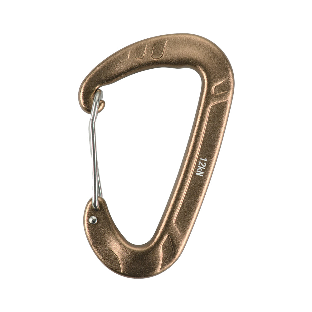 Karabiner Type 2