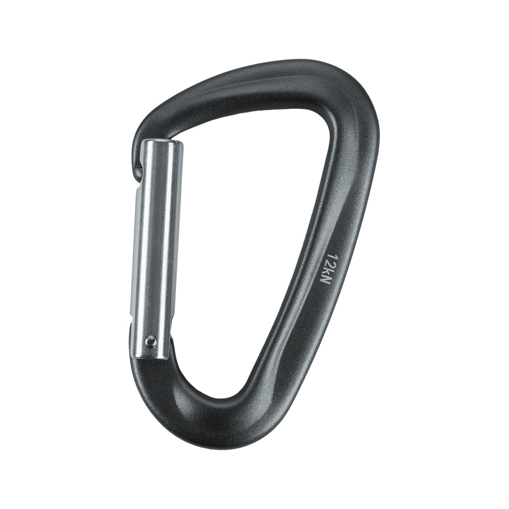 Karabiner Type 1