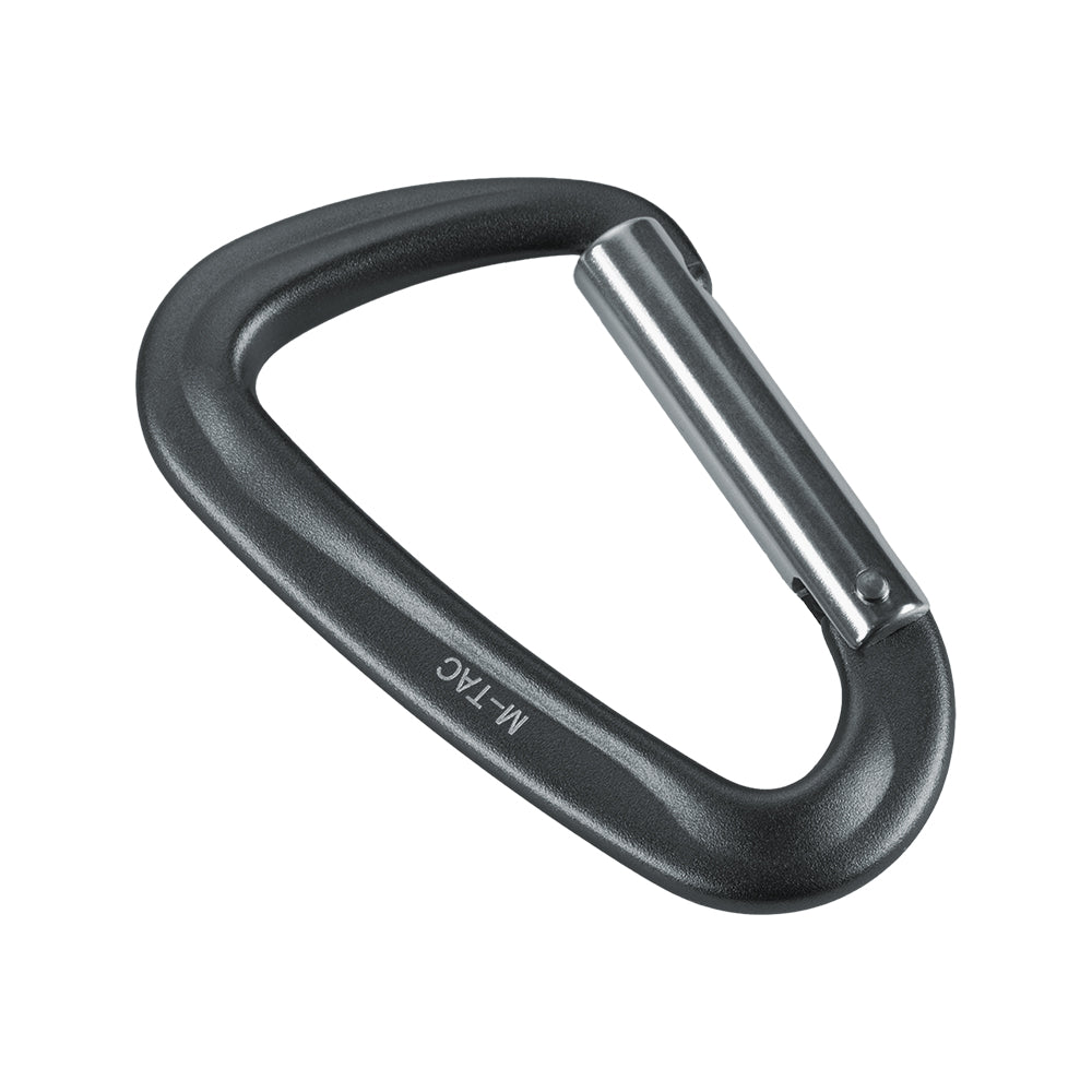 Karabiner Type 1