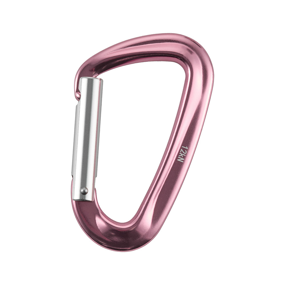 Karabiner Type 1