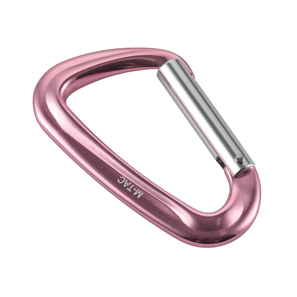 Karabiner Type 1