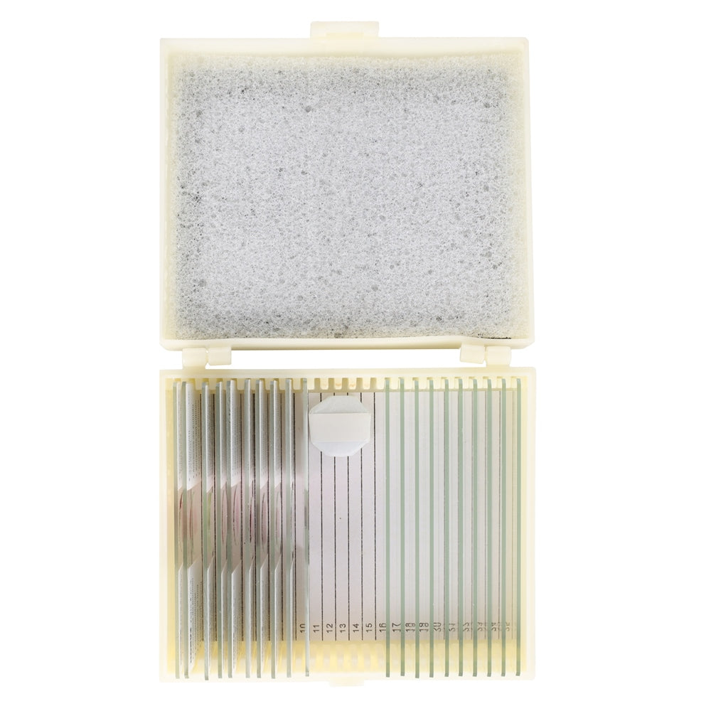 Konus Preparaten Set Bacterieën, Simpele Organismen (10 Stuks)