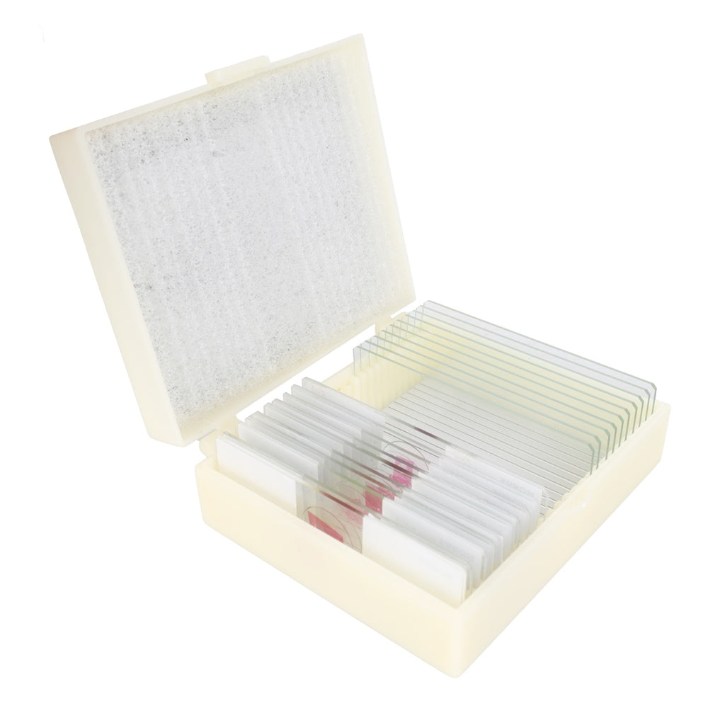 Konus Preparaten Set Zoölogie 1 (10 Stuks)