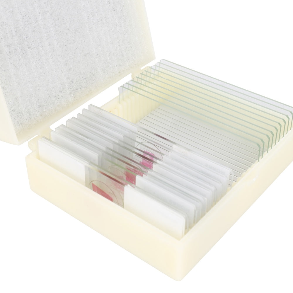 Konus Preparaten Set Zoölogie 2 (25 Stuks)