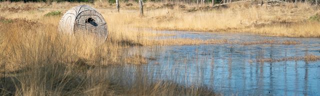 Stealth Gear Hideaway Square Hide Reed Plus