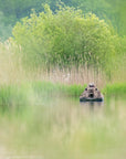 Buteo Photo Gear Drijftent Floating Hide Grebe
