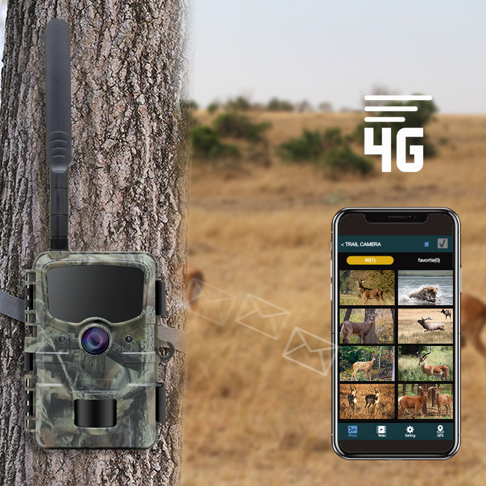 Stealth Gear Hedgehog 1080p 4G Wildcamera