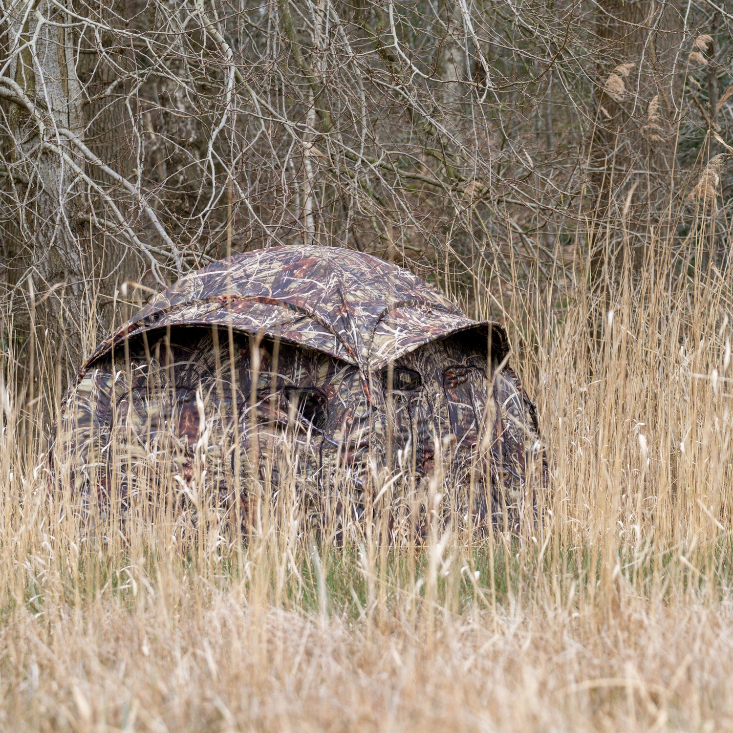 Buteo Photo Gear Hide Tent Aquila Mark III Reed