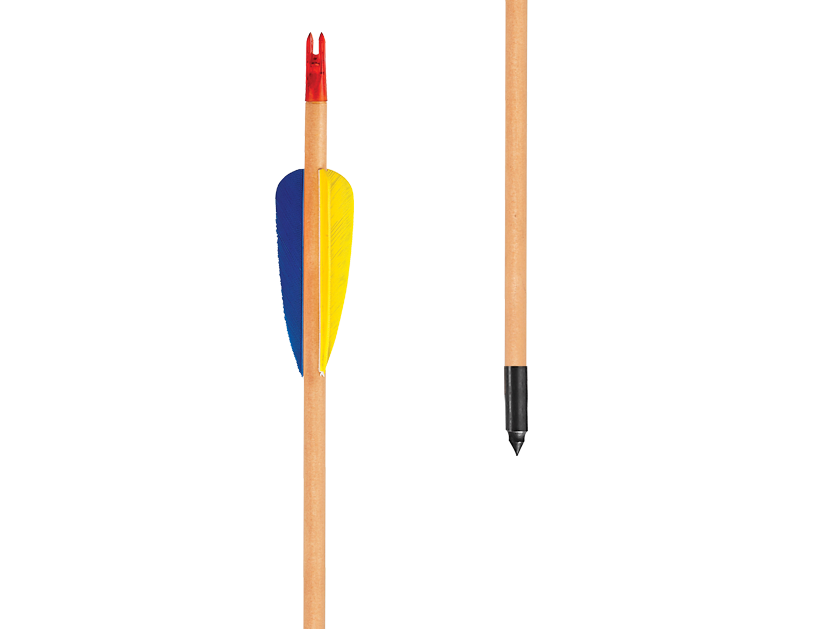 EK Archery Arrow - Natural Feather Target Wood 30" Ø8,0mm, Black Point p/3 - Glue-In Point &amp; Nock