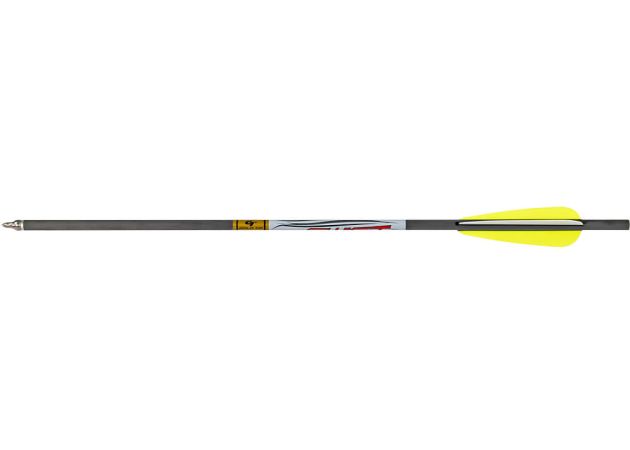 airbowpijl_fx_gold_tip_20_new_1_.jpg