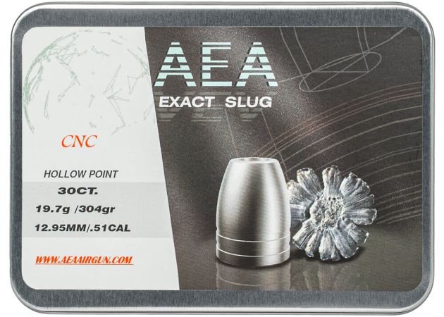 airgun_slugs_aea_exact_cnc_12.7_mm_304_grain_.51_.jpg