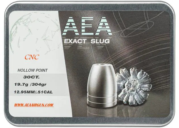 airgun_slugs_aea_exact_cnc_12.7_mm_304_grain_.51_.jpg