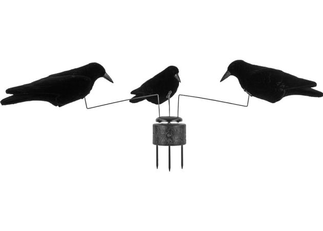 carousel_with_3_crows_1.jpg