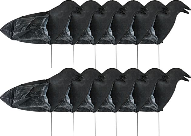 crow-decoy-sillosocks-harvester-12-pack-_1_.jpg