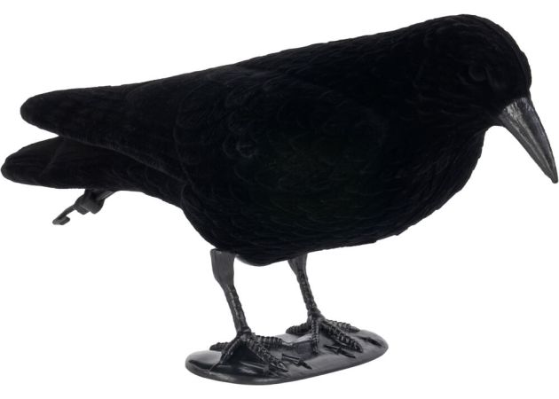 crow_decoy_flocked_standing.jpg