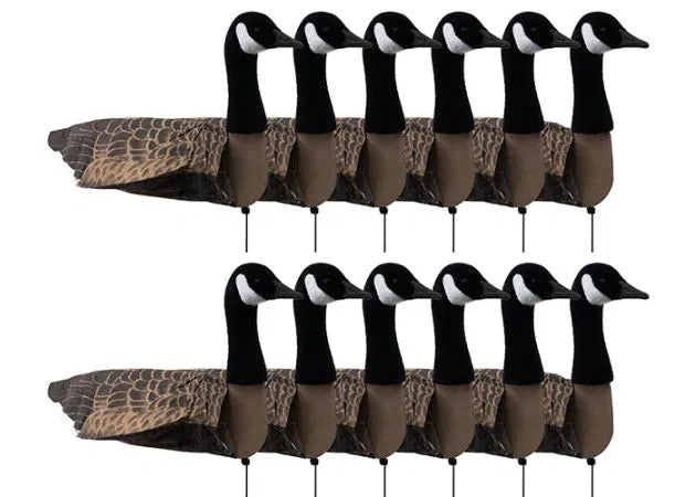decoy-sillosocks-canada-goose-standing-12-pack-_1_.jpg