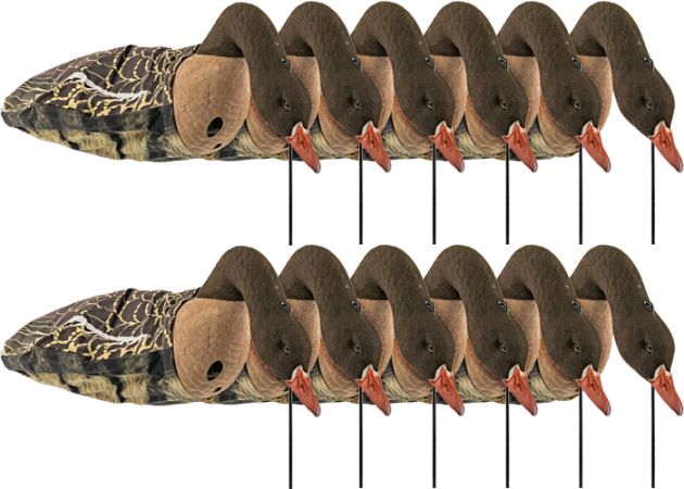 decoy-sillosocks-flocksox-pink-foot--grey-lag-goose-foraging-12-pack-_1_.jpg