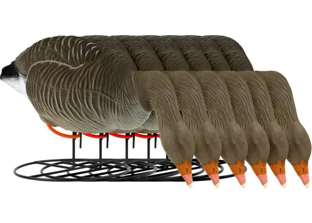 decoy_greylag_goose_flocked_foraging_6-pack_1.jpg