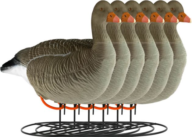 decoy_greylag_goose_flocked_resting_6-pack_1.jpg
