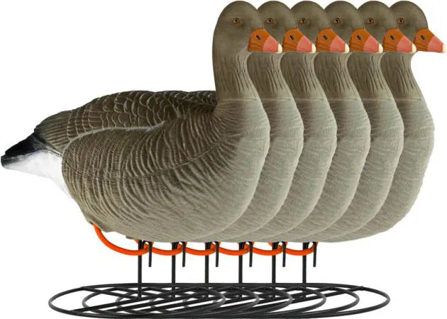 decoy_greylag_goose_flocked_resting_6-pack_1.jpg