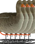 decoy_greylag_goose_flocked_resting_6-pack_1.jpg