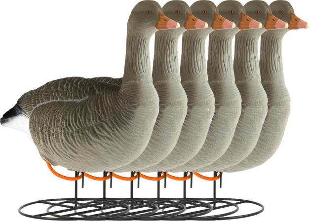 decoy_greylag_goose_flocked_standing_6-pack_1.jpg