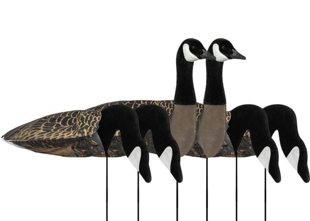 decoy_sillosocks_2d3d_canada_goose_harvester_6-pack_1_.jpg