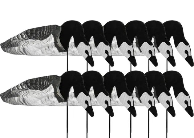 decoy_sillosocks_2d_barnacle_goose_feeding_12-pack_1_.jpg