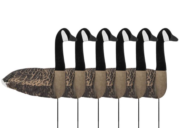 decoy_sillosocks_2d_canada_goose_sentry_6-pack_1_.jpg