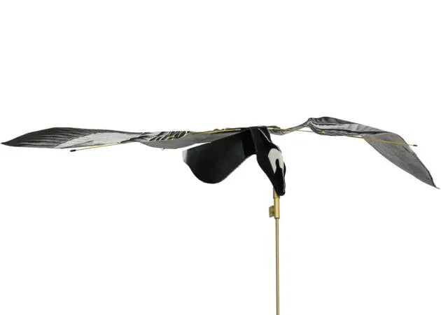decoy_sillosocks_hypa-flap_barnacle_goose.jpg