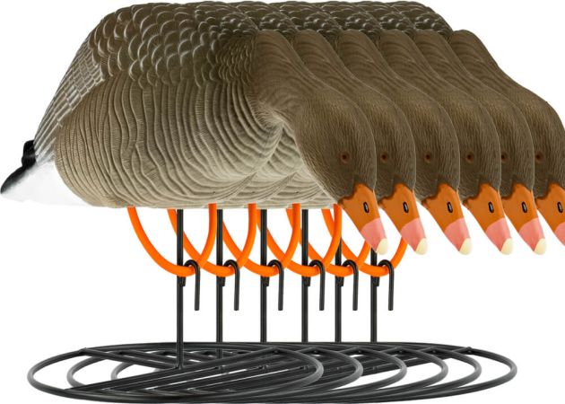 decoy_white-fronted_goose_flocked_foraging_6-pack_1.jpg