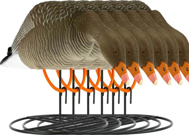 decoy_white-fronted_goose_flocked_foraging_6-pack_1.jpg
