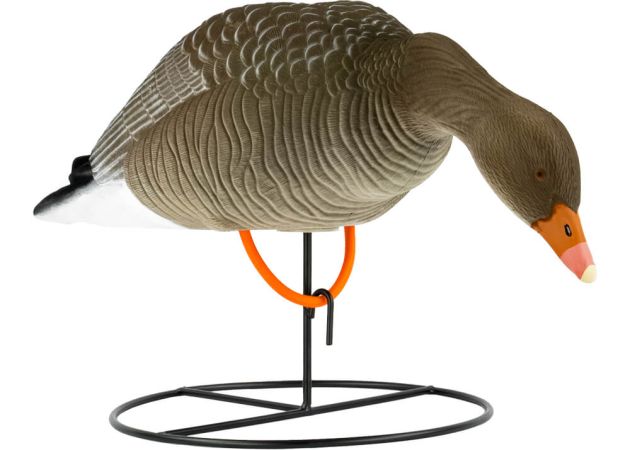 decoy_white-fronted_goose_flocked_foraging_6-pack_2.jpg