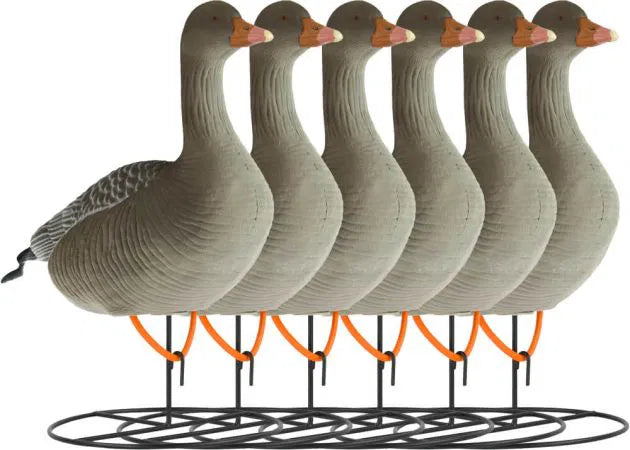 decoy_white-fronted_goose_flocked_standing_6-pack_1.jpg