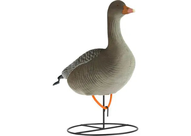 decoy_white-fronted_goose_flocked_standing_6-pack_2.jpg