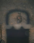 element_optics_etx_red_dot_21__1.jpg