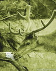 frankonia_p119873_d2.jpg