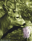 frankonia_p119874_d3.jpg