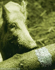 frankonia_p124708_d4.jpg