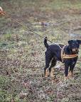 frankonia_p2003637_d18.jpg