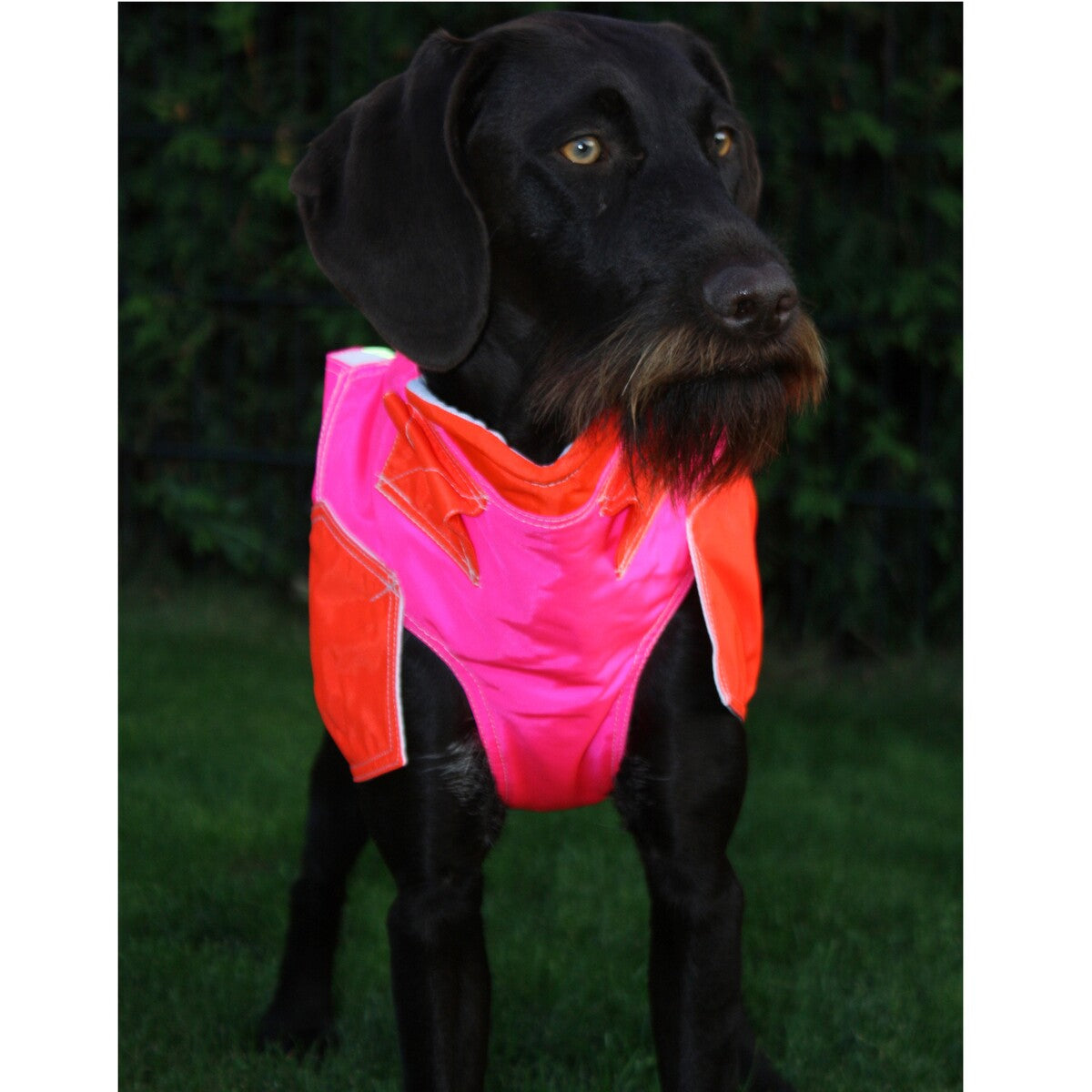 frankonia_p2006272_d10.jpg