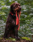 frankonia_p2010679_d7_v1.jpg