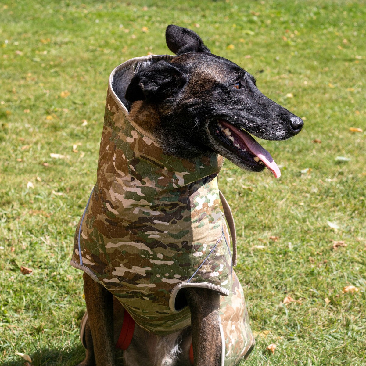frankonia_p2012727_d4.jpg