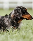 frankonia_p2021876_d6.jpg
