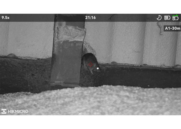 hikmicro_alpex_4k_lite_a40el_lrf_night_vision_scope_9_.jpg