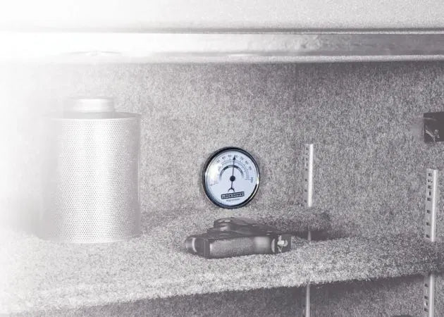 hygrometer_lockdown_new_4_.jpg