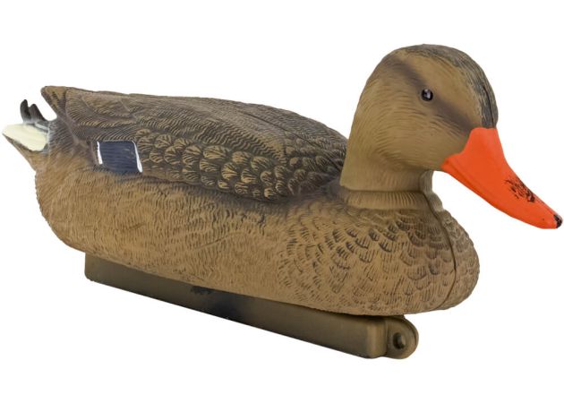 mallard_decoy_floating_hen.jpg