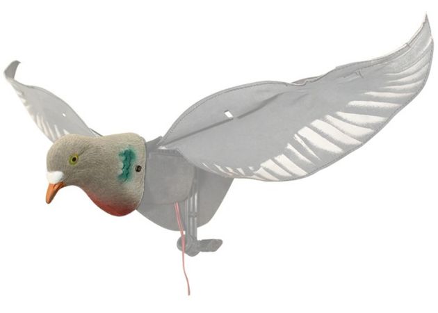 pigeon_decoy_sillosocks_3d_head_2_.jpg