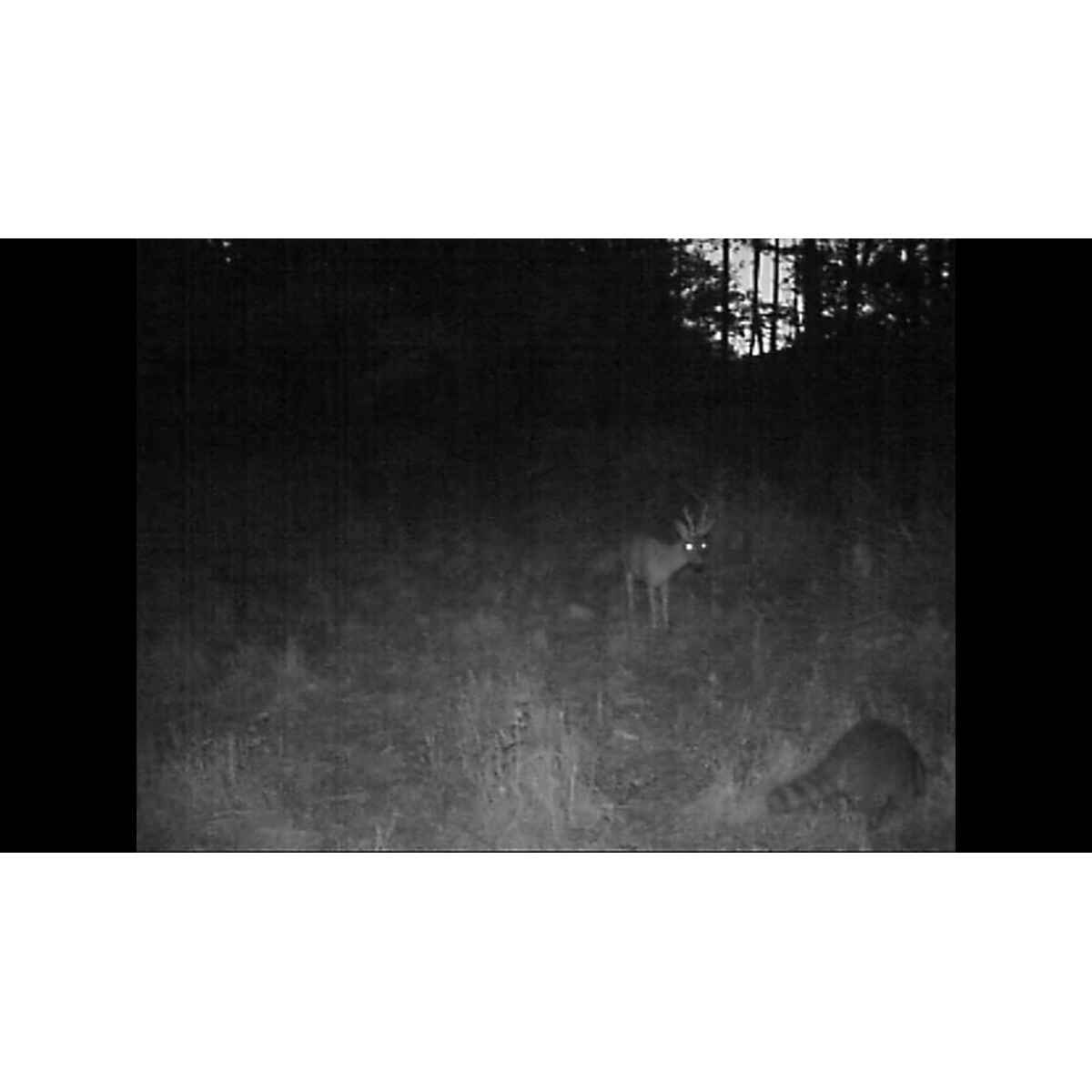 6nSKmYophAbVe1oHdvuFXS.jpeg&width=1200&height=1200&effects=pad(CC,ffff)&quality=40