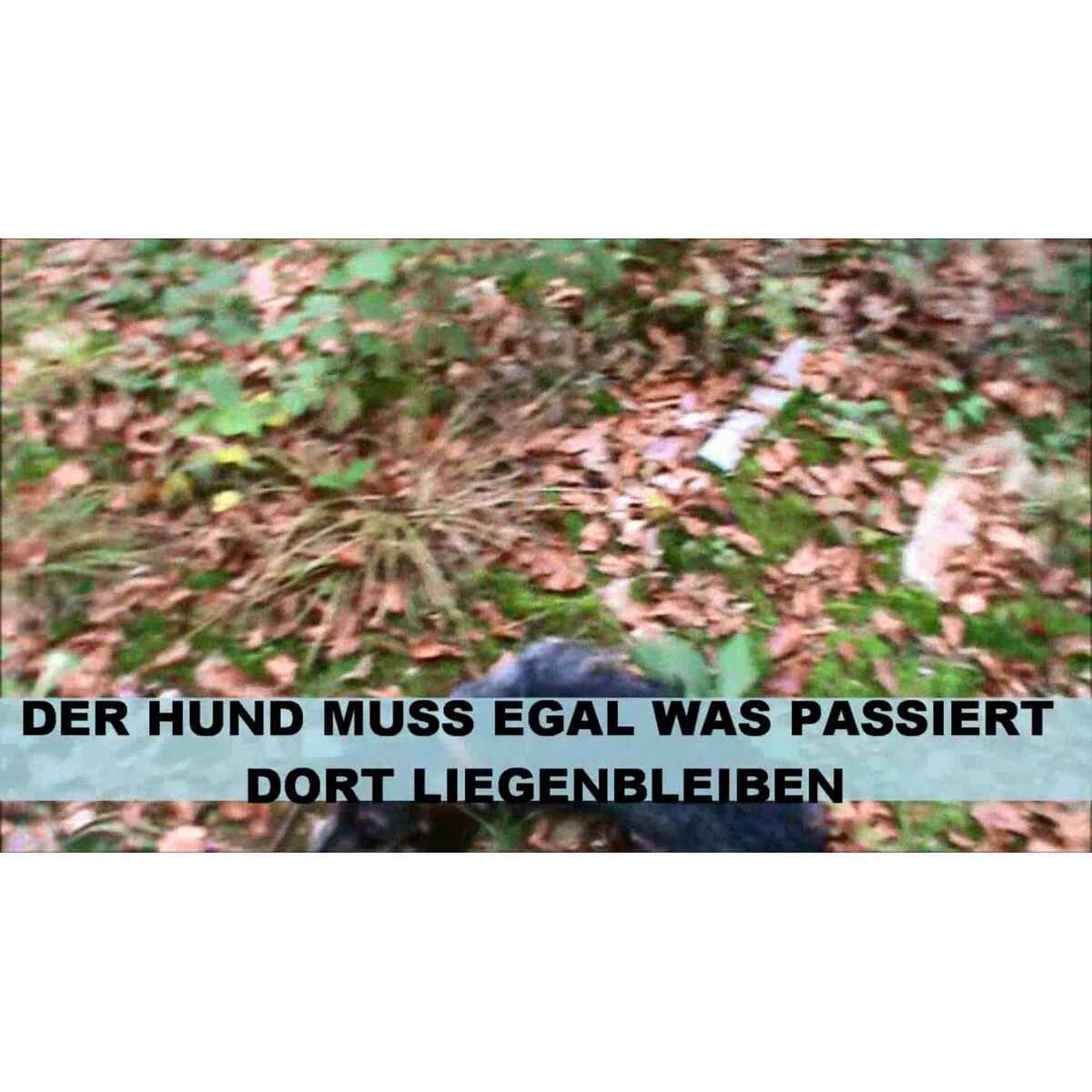 3DioPRkUTEgt7qvW2foEt6.jpeg&amp;width=1200&amp;height=1200&amp;effects=pad(CC,ffff)&amp;quality=40